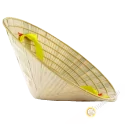Conical hat Adult Vietnam