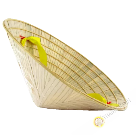 Conical hat Adult Vietnam