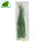 Flower of garlic Thailand (200g)- FRESH