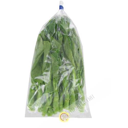 Chou Cai lan Espagne 500g- FRAIS