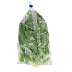 Chou Cai lan Espagne 500g- FRAIS