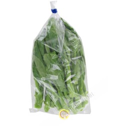 Cải làn Tây Ban Nha 500g- FRAIS