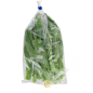 Chou Cai lan Spagna 500g - FRESCO
