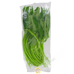 Rau muống ( Thái Lan hoặc Việt Nam ) 250g- Tươi