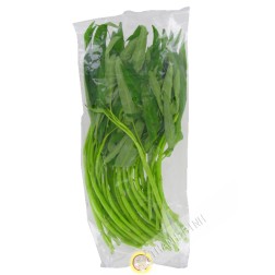 Winde und wasser Thailand 250g - TARIF