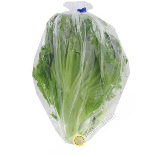 Leaf Mustard Cai Be Xanh France 1kg - COSTS