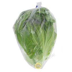 Blatt Senf Cai Be Xanh Frankreich 1kg - TARIF