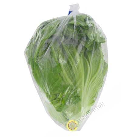 Feuille Moutarde Cai Be Xanh France 1kg - FRAIS