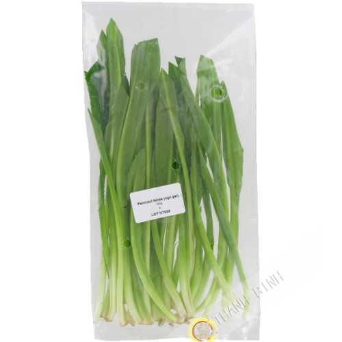 Ngo gai Thailand 100g - FRESH