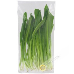 Ong gai Tailandia 100g - FRESCO
