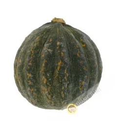 Calabaza (kg)