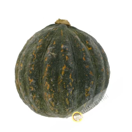 Squach (kg)