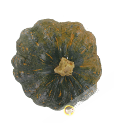 Squach Francia (camera)- COSTO - Ca. 1.7 kg