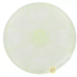 Cubra el plato de plástico 25x14cm Vietnam