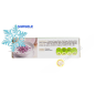 Perla taro con crema al cocco S&P 160g Thailandia - SURGELES