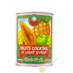 Cocktail von exotischen früchten in sirup leicht PSP 565g Thailand