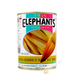 Fleur banane nature ELEPHANTS 540g Thailande