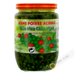 Jeune poivre vert acidulé DRAGON OR 390g Vietnam