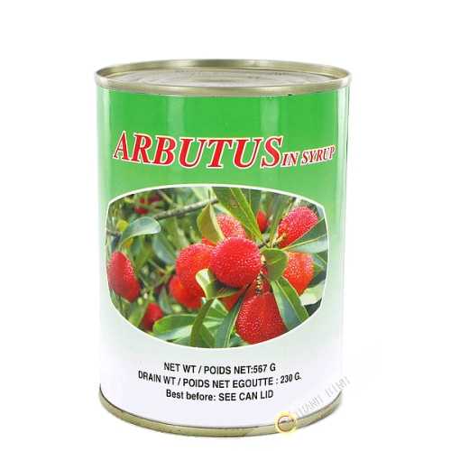 Arbutus syrup 567g CH