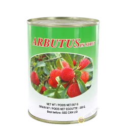 Arbutus syrup 567g CH
