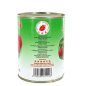 Arbouses au sirop DRAGON 567g Chine