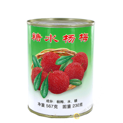 Arbouses au sirop DRAGON 567g Chine