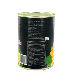 Noix blanche (ecrous de Gingko) EAGLOBE 397g Chine