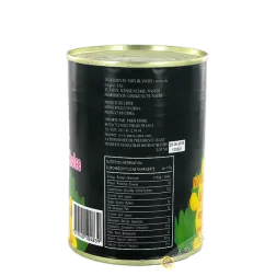 Dadi bianchi noci di Ginkgo) EAGLOBE 397g Cina