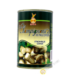 Champignon paille 425g - Chine 