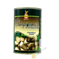 Mushroom straw 425g - China 