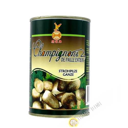 Mushroom straw 425g - China 