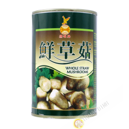 Champignon de paille entier EAGLOBE 425g Chine
