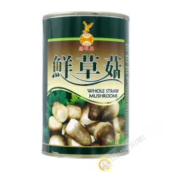 Straw mushroom whole EAGLOBE 425g China