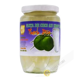 Nata de coco 400g - Viet Nam
