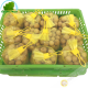 Longan Vietnam (kg)