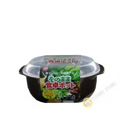 Box-food-rechteck mirco-welle 470ml 11x15xH6cm NAKAYA, Japan