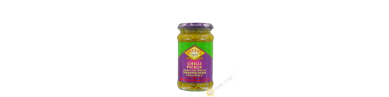 Chilli pickle hot-PATAK'S 283g United Kingdom