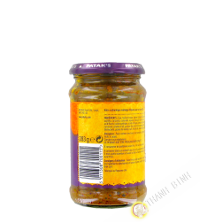 Balti incolla PATAK S 283g Regno Unito