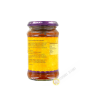 Tikka pasta di curry PATAK S 300g Regno Unito Tikka pasta di curry PATAK S 300g Regno Unito