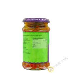 Mango pickle Caldo PATAK 283g Regno Unito