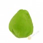 Chayotte Costa Rica (pièce)- FRAIS - Env. 300g