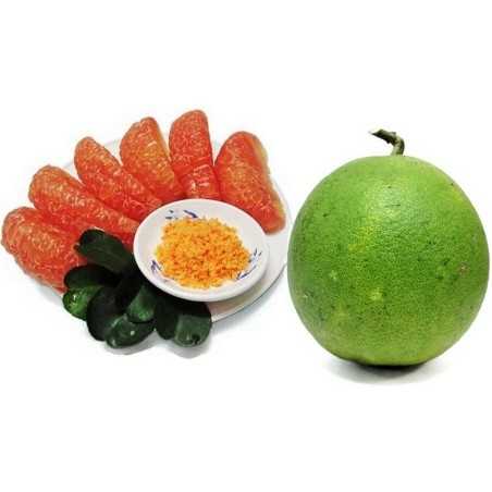 Bưởi Da Xanh Việt Nam (trái) Xấp xỉ. 1 kg - FRAIS