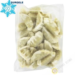 Gyoza poulet HANABI 600g Pologne - SURGELES