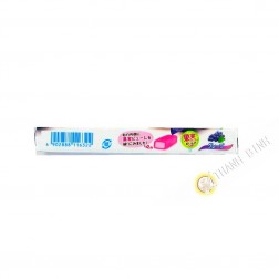 Candy grape HI CHEW 55g Japan
