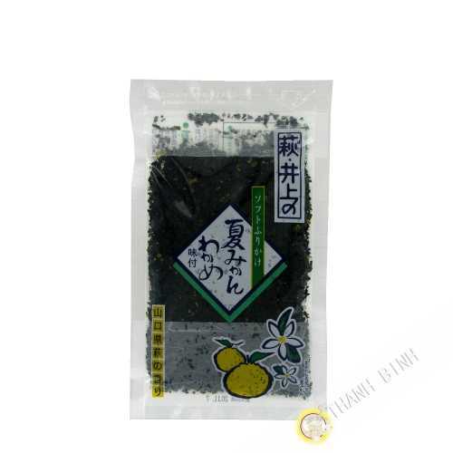 Assaisonnement riz chaud furikake INOUIE 70g JP