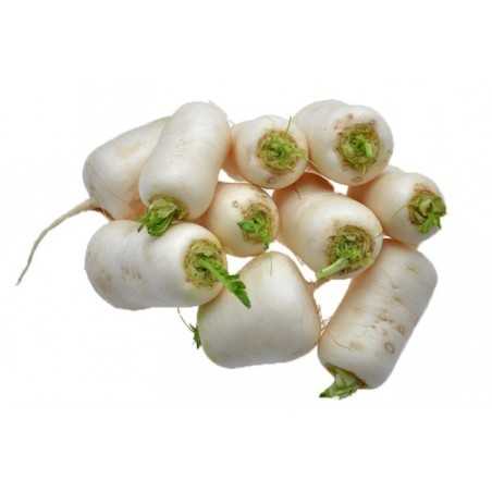 Củ cải marteau (kg)- Hàng tươi