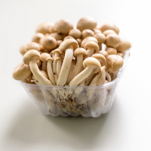Mushroom Shimeji 150g - FRESH