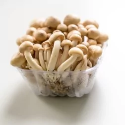 Setas Shimeji 150g - FRESCO