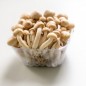 Nấm Shimeji 150g - FRAIS