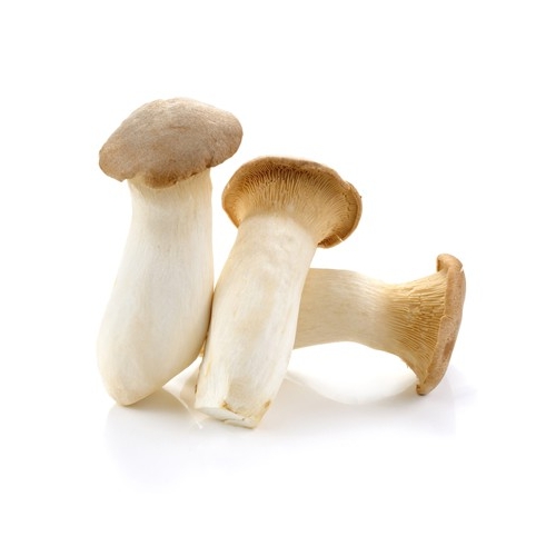 Fungus Erungi Nấm đùi gà 200g - FEE